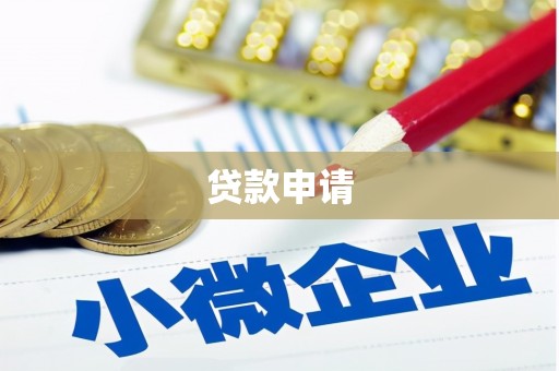 新泰贷款申请