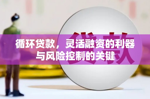 新泰循环贷款，灵活融资的利器与风险控制的关键