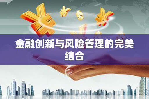 新泰金融创新与风险管理的完美结合