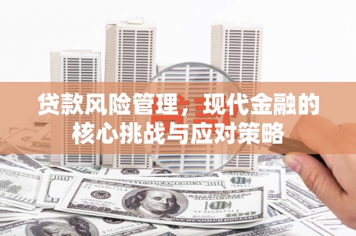 新泰贷款风险管理，现代金融的核心挑战与应对策略