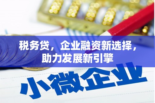 新泰税务贷，企业融资新选择，助力发展新引擎