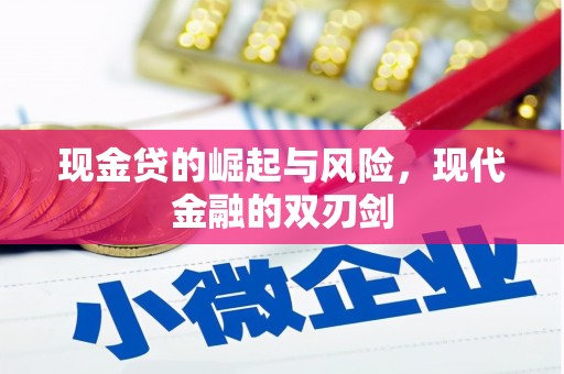 新泰现金贷的崛起与风险，现代金融的双刃剑