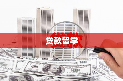 新泰贷款留学