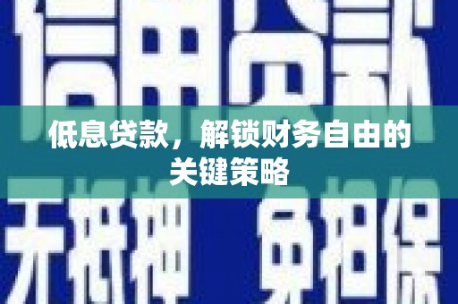新泰低息贷款，解锁财务自由的关键策略