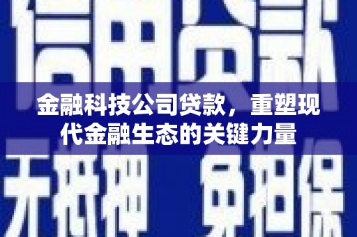 新泰金融科技公司贷款，重塑现代金融生态的关键力量