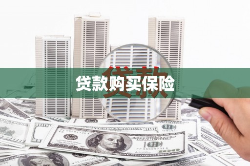 新泰贷款购买保险