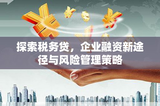 新泰探索税务贷，企业融资新途径与风险管理策略