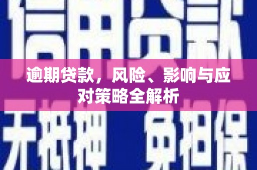 新泰逾期贷款，风险、影响与应对策略全解析