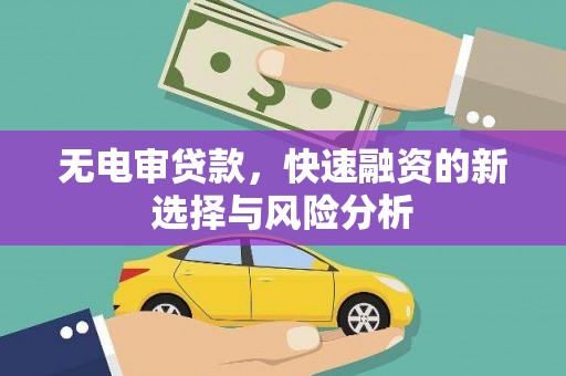 新泰无电审贷款，快速融资的新选择与风险分析
