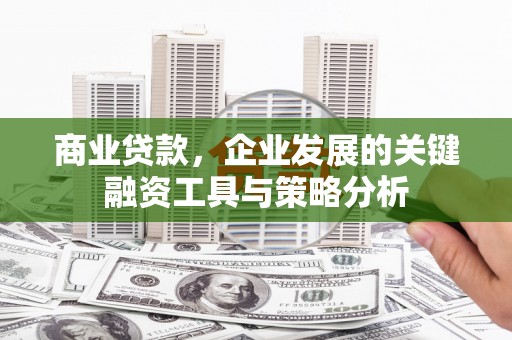 新泰商业贷款，企业发展的关键融资工具与策略分析