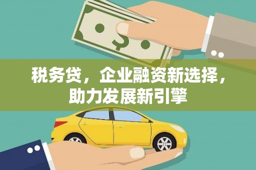 新泰税务贷，企业融资新选择，助力发展新引擎