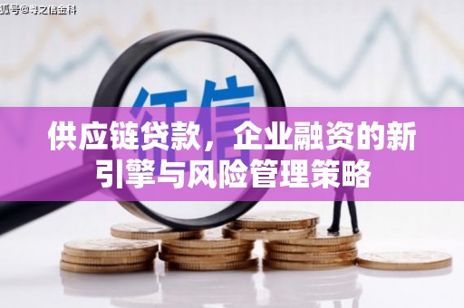 新泰供应链贷款，企业融资的新引擎与风险管理策略