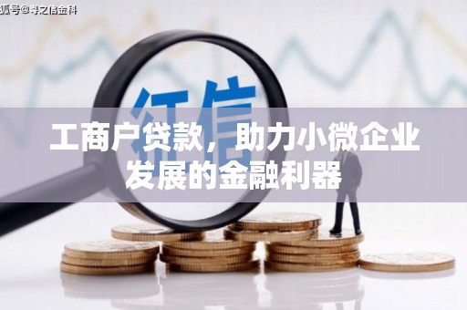 新泰工商户贷款，助力小微企业发展的金融利器