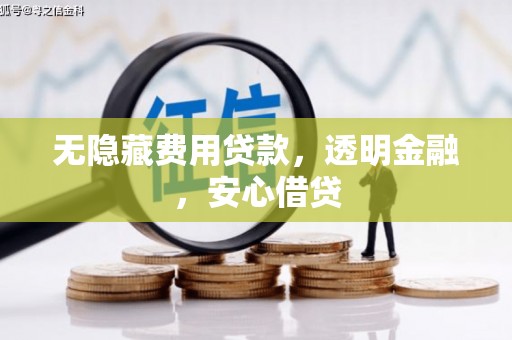 新泰无隐藏费用贷款，透明金融，安心借贷