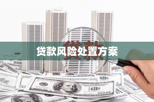 新泰贷款风险处置方案