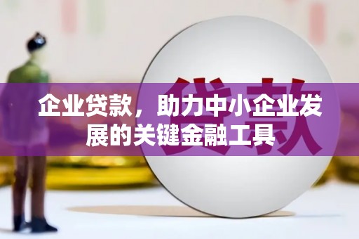 新泰企业贷款，助力中小企业发展的关键金融工具
