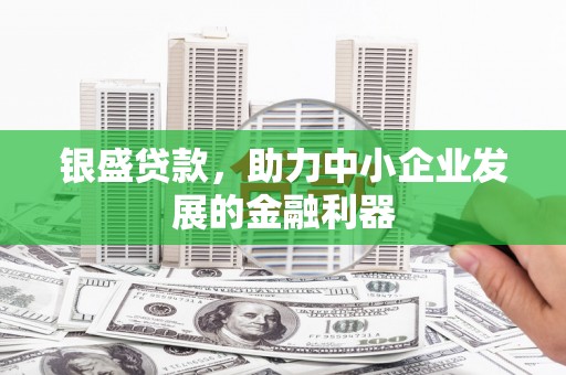 新泰银盛贷款，助力中小企业发展的金融利器