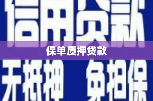 新泰保单质押贷款