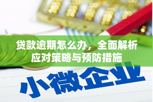 新泰贷款逾期怎么办，全面解析应对策略与预防措施