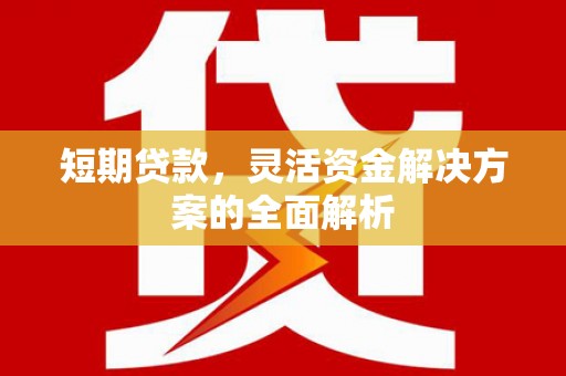 新泰短期贷款，灵活资金解决方案的全面解析