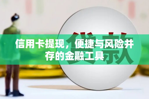 新泰信用卡提现，便捷与风险并存的金融工具