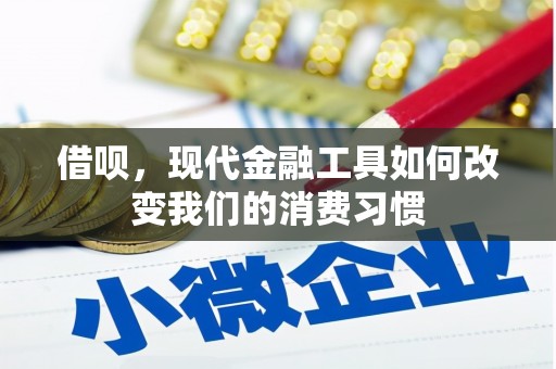 新泰借呗，现代金融工具如何改变我们的消费习惯