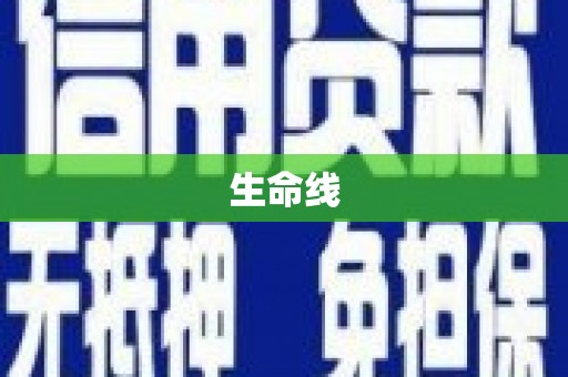 新泰生命线