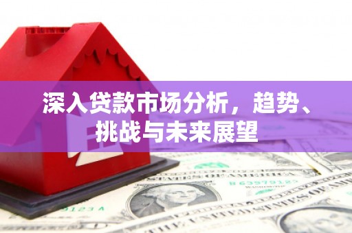 新泰深入贷款市场分析，趋势、挑战与未来展望