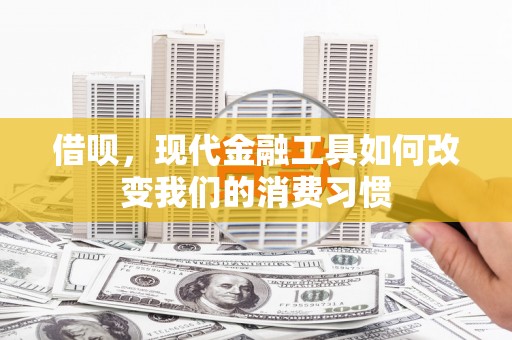 新泰借呗，现代金融工具如何改变我们的消费习惯