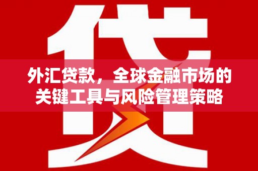 新泰外汇贷款，全球金融市场的关键工具与风险管理策略