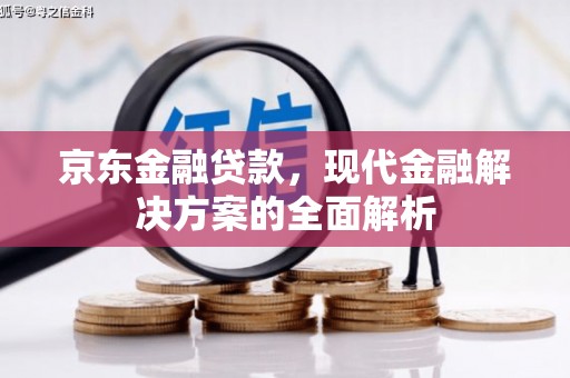 新泰京东金融贷款，现代金融解决方案的全面解析