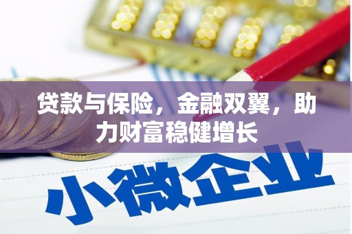 新泰贷款与保险，金融双翼，助力财富稳健增长