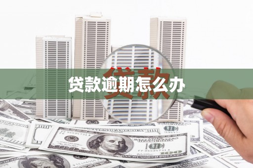 新泰贷款逾期怎么办