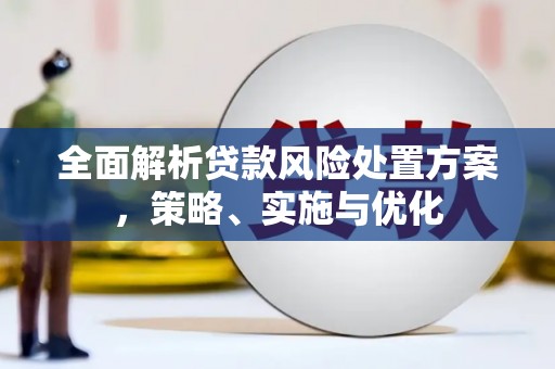 新泰全面解析贷款风险处置方案，策略、实施与优化