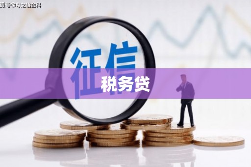 新泰税务贷