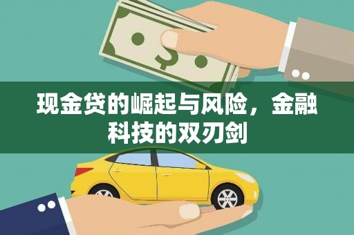 新泰现金贷的崛起与风险，金融科技的双刃剑