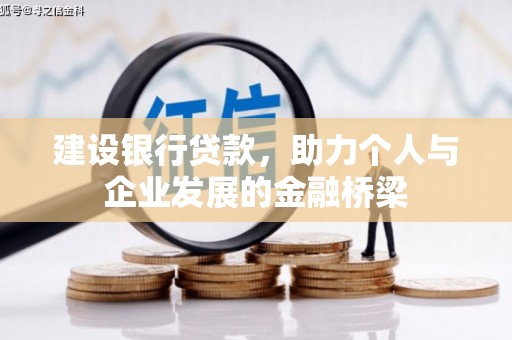 新泰建设银行贷款，助力个人与企业发展的金融桥梁