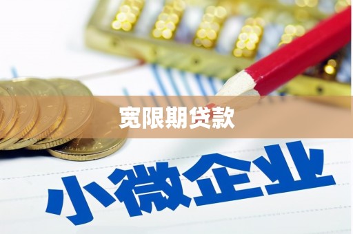 新泰宽限期贷款