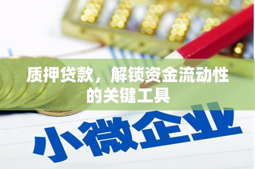 新泰质押贷款，解锁资金流动性的关键工具