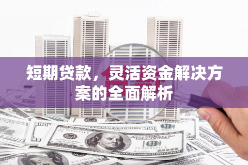 新泰短期贷款，灵活资金解决方案的全面解析