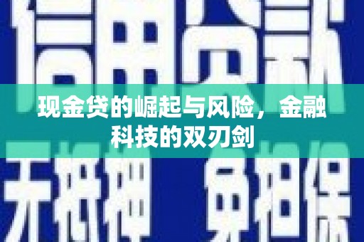 新泰现金贷的崛起与风险，金融科技的双刃剑