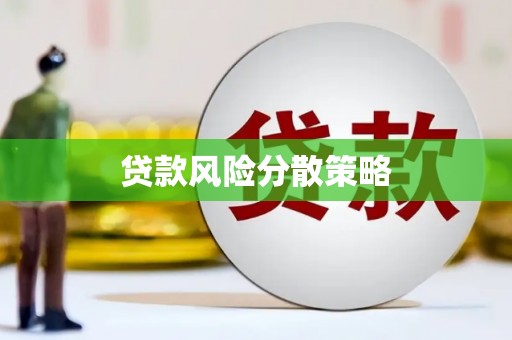 新泰贷款风险分散策略