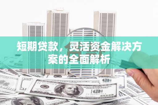 新泰短期贷款，灵活资金解决方案的全面解析