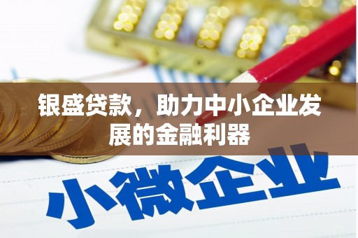 新泰银盛贷款，助力中小企业发展的金融利器