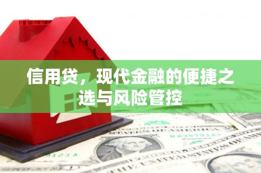 新泰信用贷，现代金融的便捷之选与风险管控