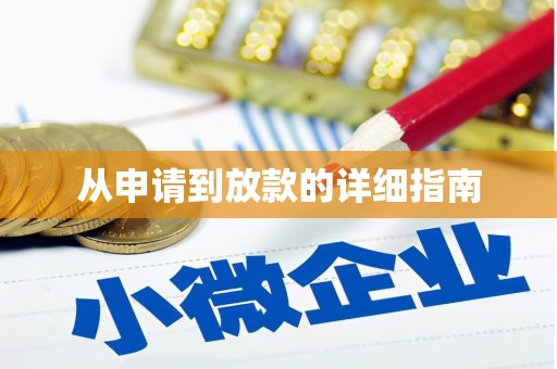 新泰从申请到放款的详细指南