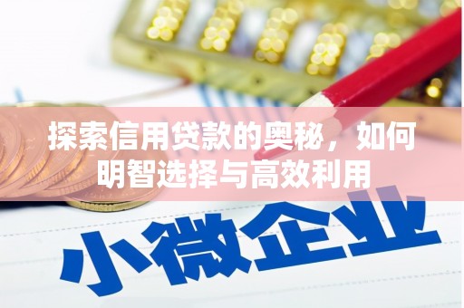 新泰探索信用贷款的奥秘，如何明智选择与高效利用