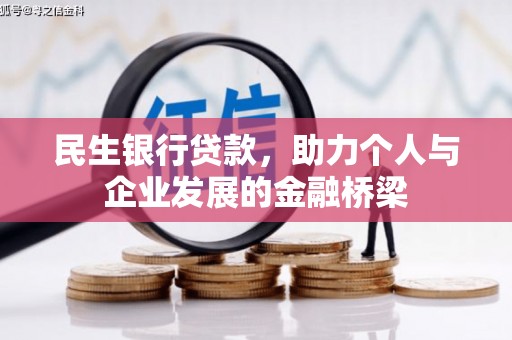 新泰民生银行贷款，助力个人与企业发展的金融桥梁