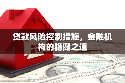 新泰贷款风险控制措施，金融机构的稳健之道