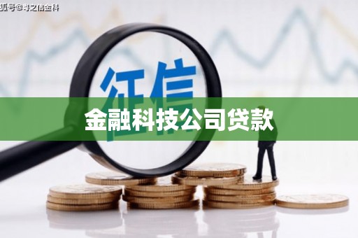 新泰金融科技公司贷款